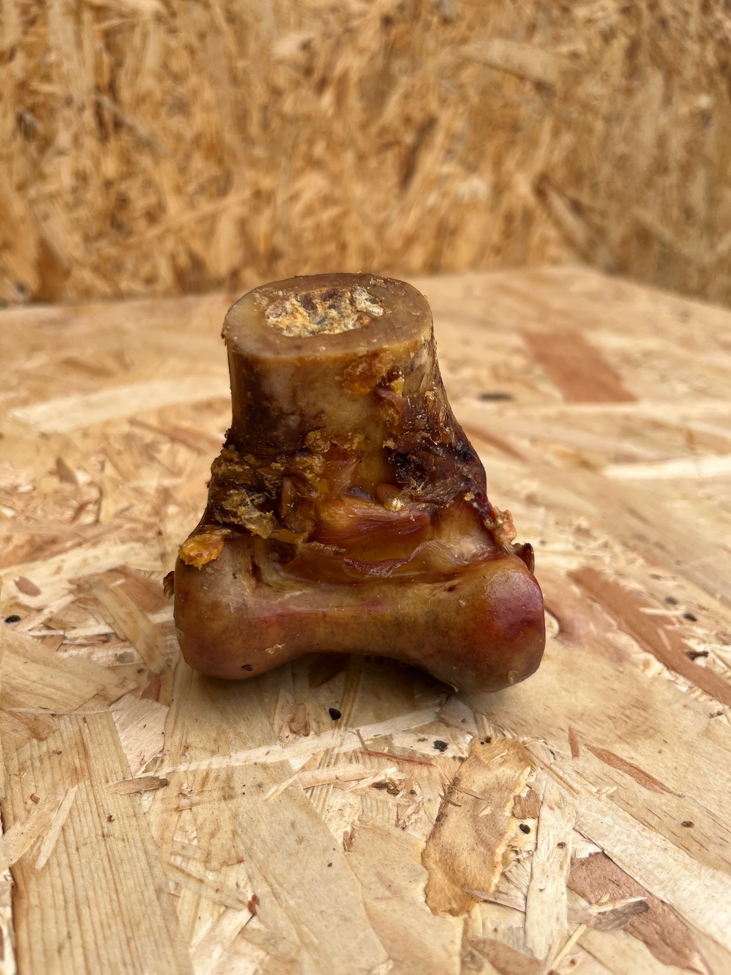 Ostrich Knee Knuckle