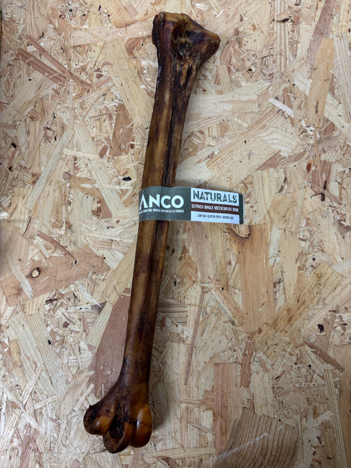 Ostrich Whole Metatarsus Bone