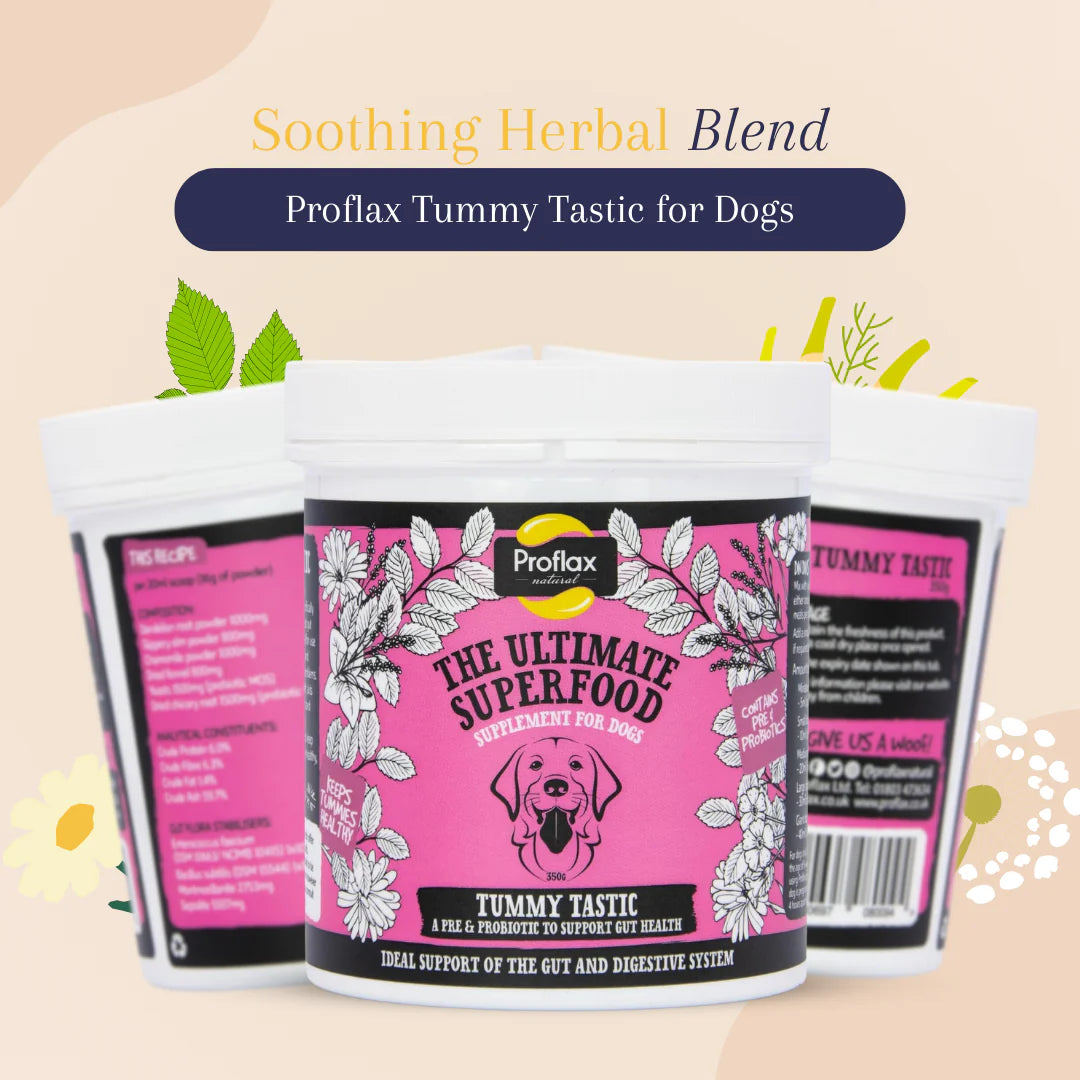 Proflax Tummy Tastic