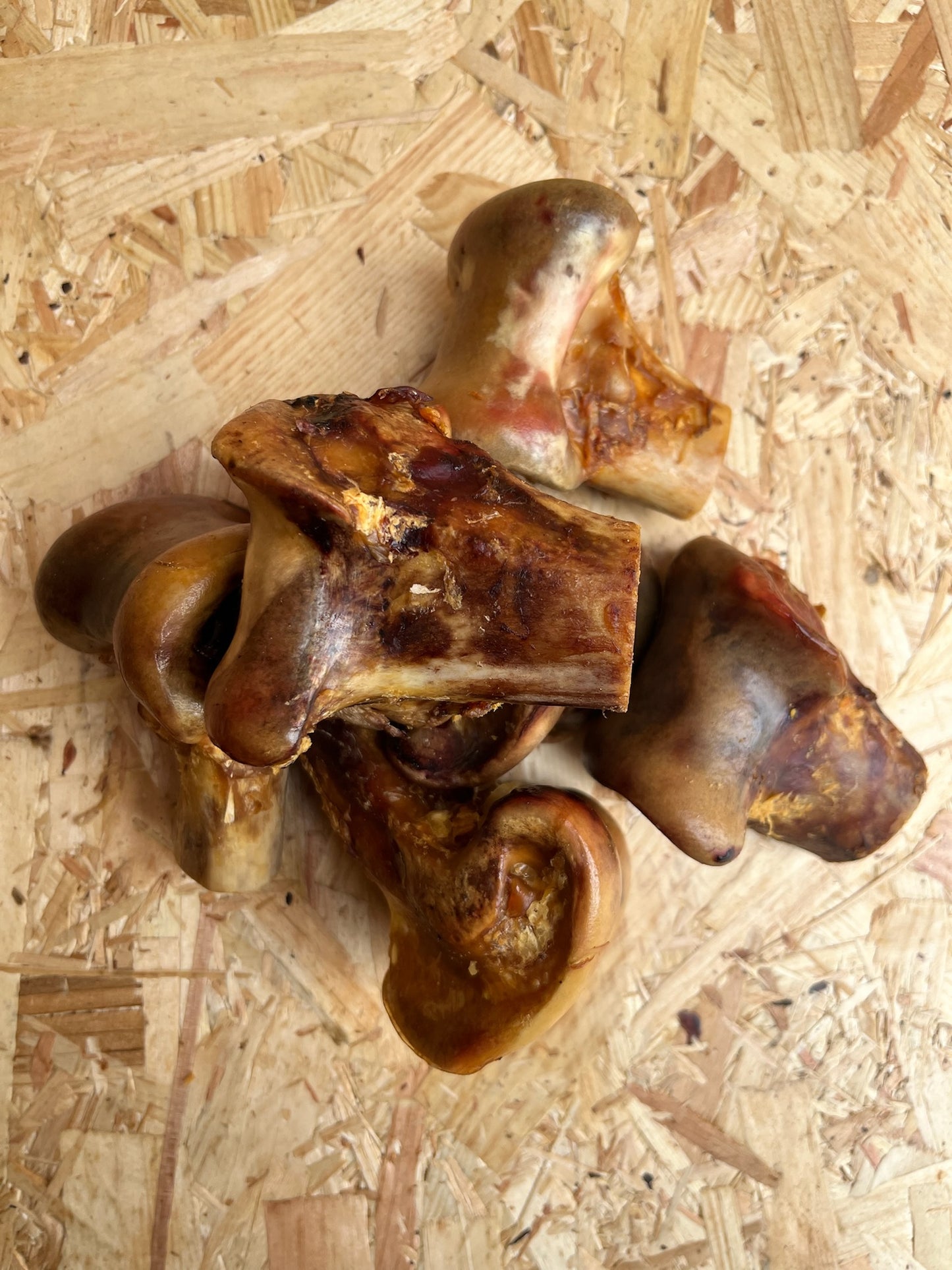 Ostrich Knee Knuckle