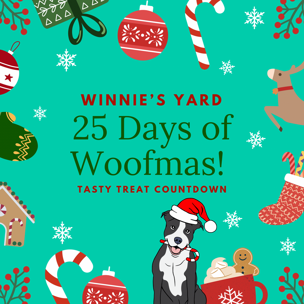 COMING SOON 25 Days of Woofmas! Tasty Treat Countdown Box