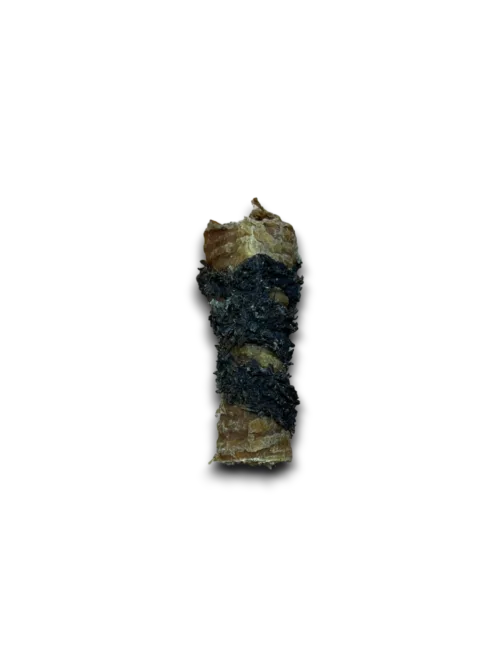 Tripe Wrapped Bully Tube