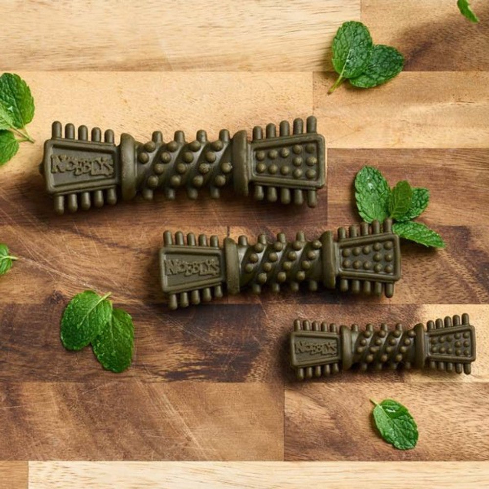 Nobblys Tough Brush | Large 80g | Mint