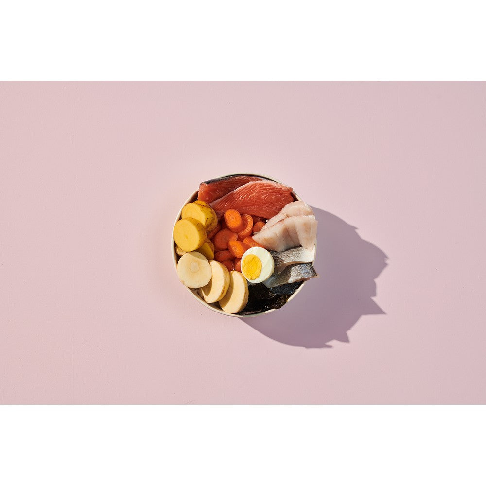 Naturediet Feel Good Grain Free Salmon 390g
