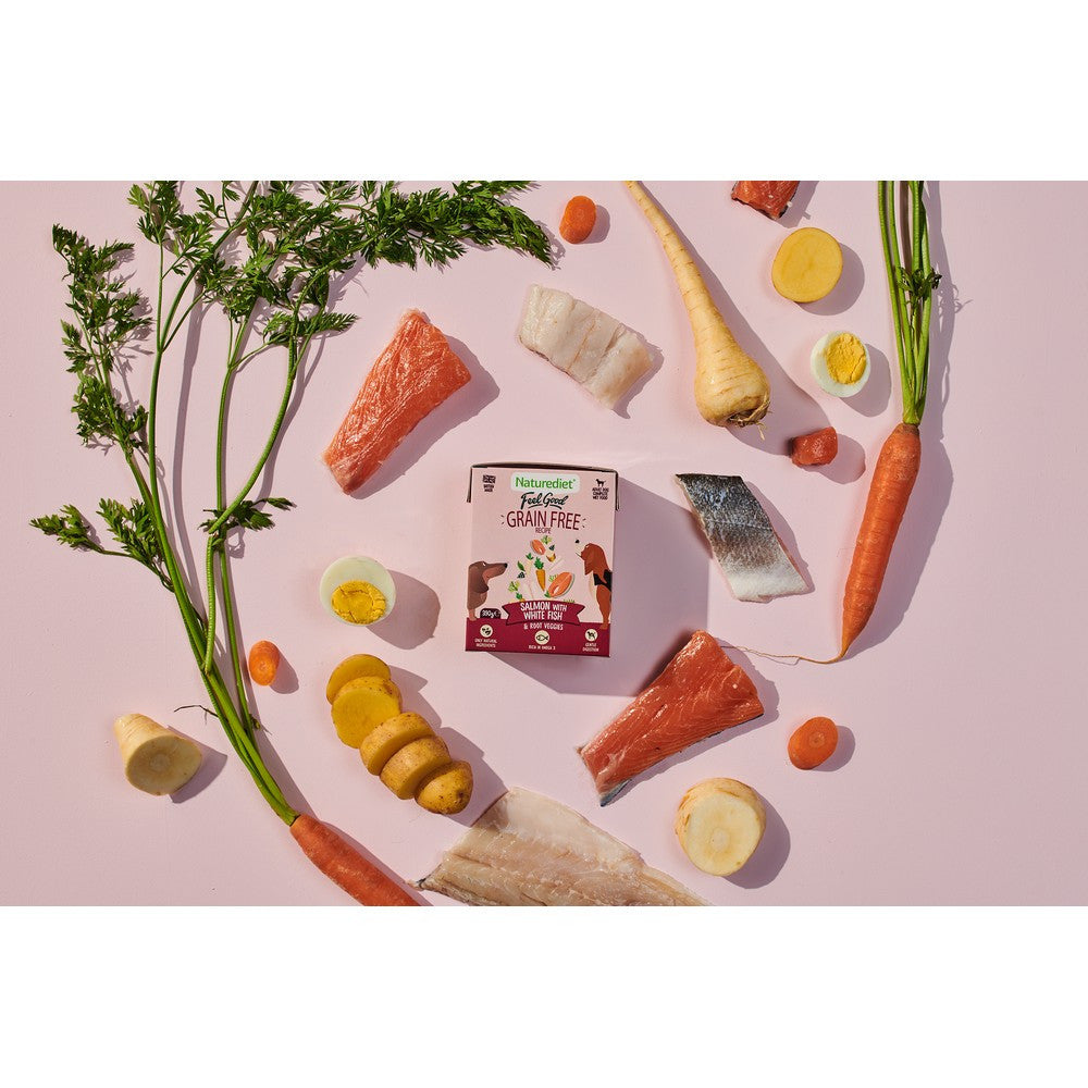Naturediet Feel Good Grain Free Salmon 390g