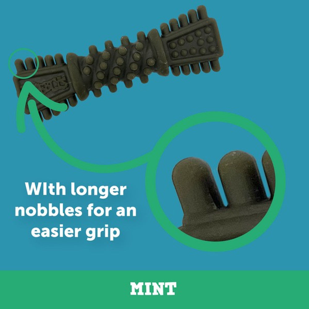 Nobblys Tough Brush | Medium 50g | Mint