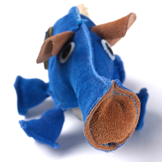 Dino the Dyno Fish, Eco Toy