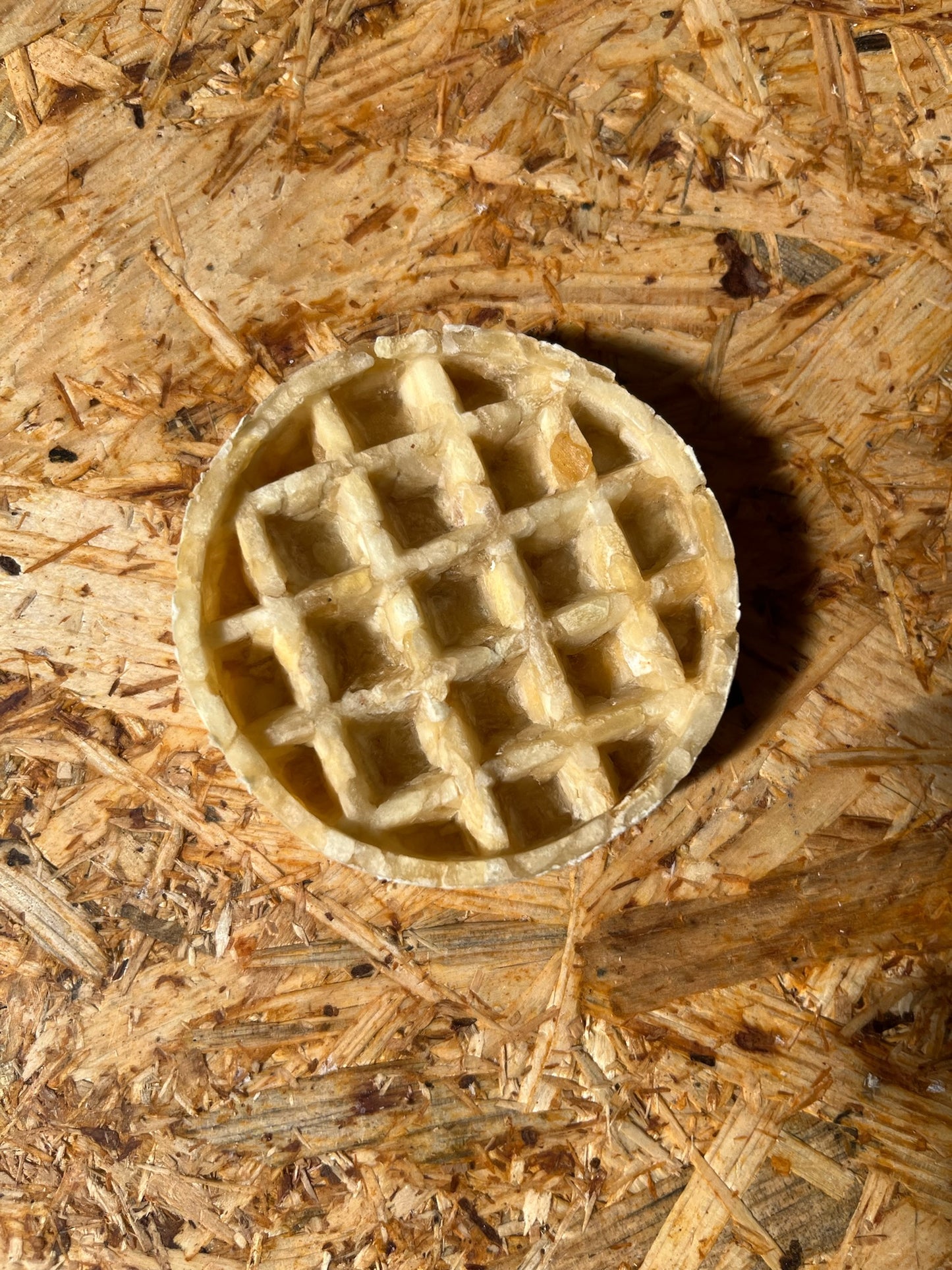 Collagen Waffle