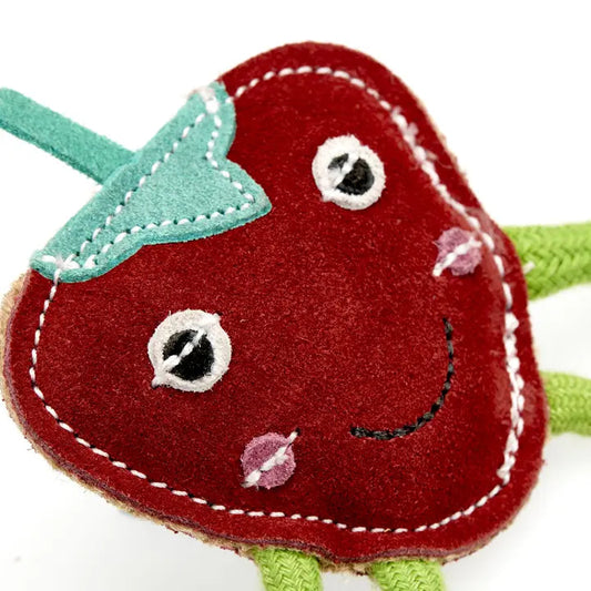 Steve the Strawberry, Eco Toy