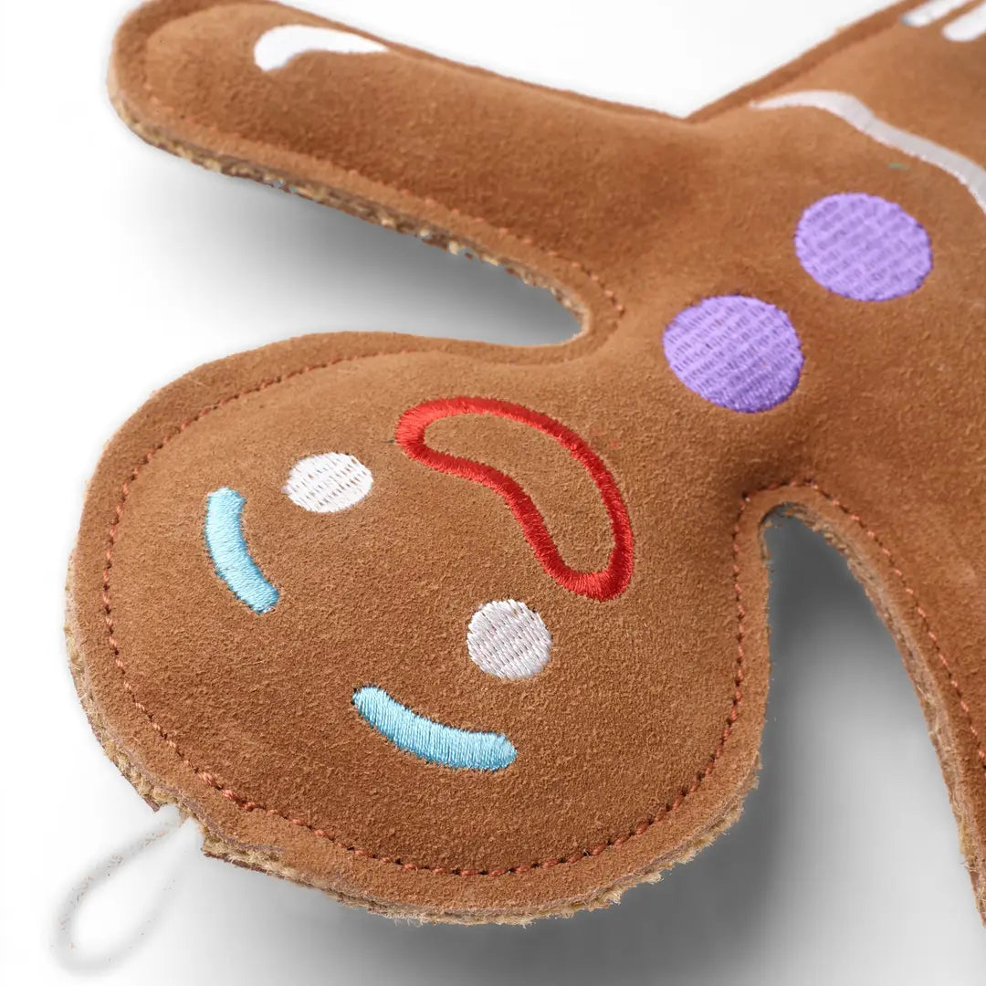 Jean Genie the Gingerbread Person, Eco Toy