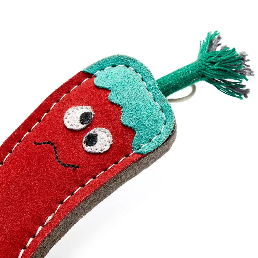 Chad the Red Hot Chilli Pepper, Eco Toy