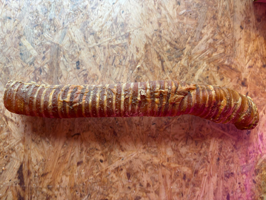 Buffalo Trachea Large 25-30cm