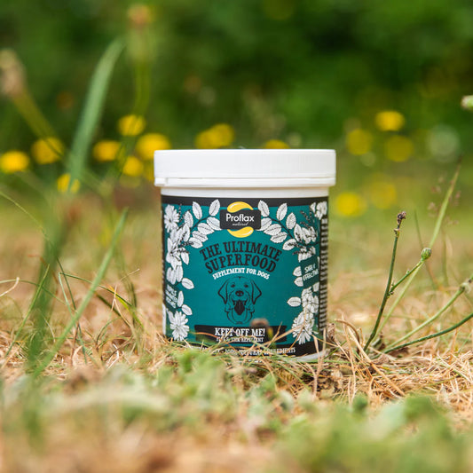 Proflax Keep Off Me! Powder for Dogs 225g