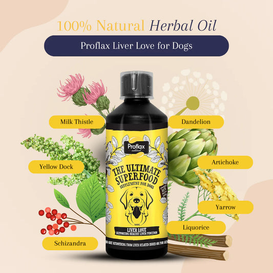 Proflax Liver Love 250ml