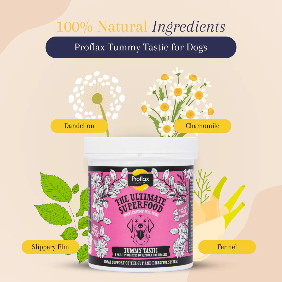 Proflax Tummy Tastic 125g