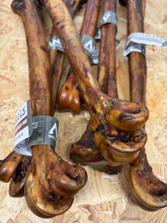 Ostrich Whole Metatarsus Bone