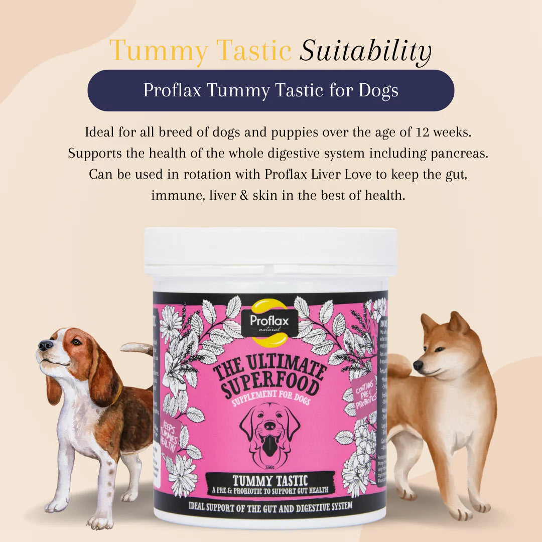 Proflax Tummy Tastic 125g