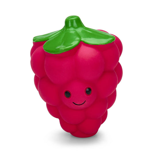 Petface Foodie Faces Latex Raspberry Dog Toy - Large