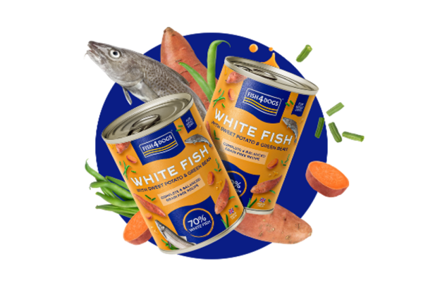 Fish4Dogs Finest White Fish with Sweet Potato & Green Bean 395g