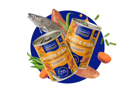 Fish4Dogs Finest White Fish with Sweet Potato & Green Bean 395g