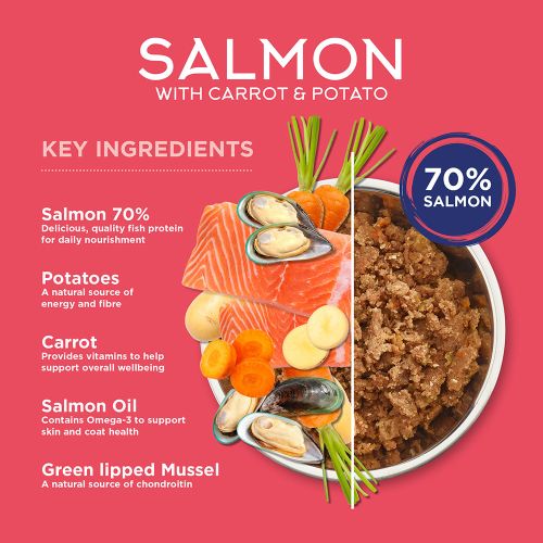 Fish4Dogs Salmon with Carrot & Potato 395g