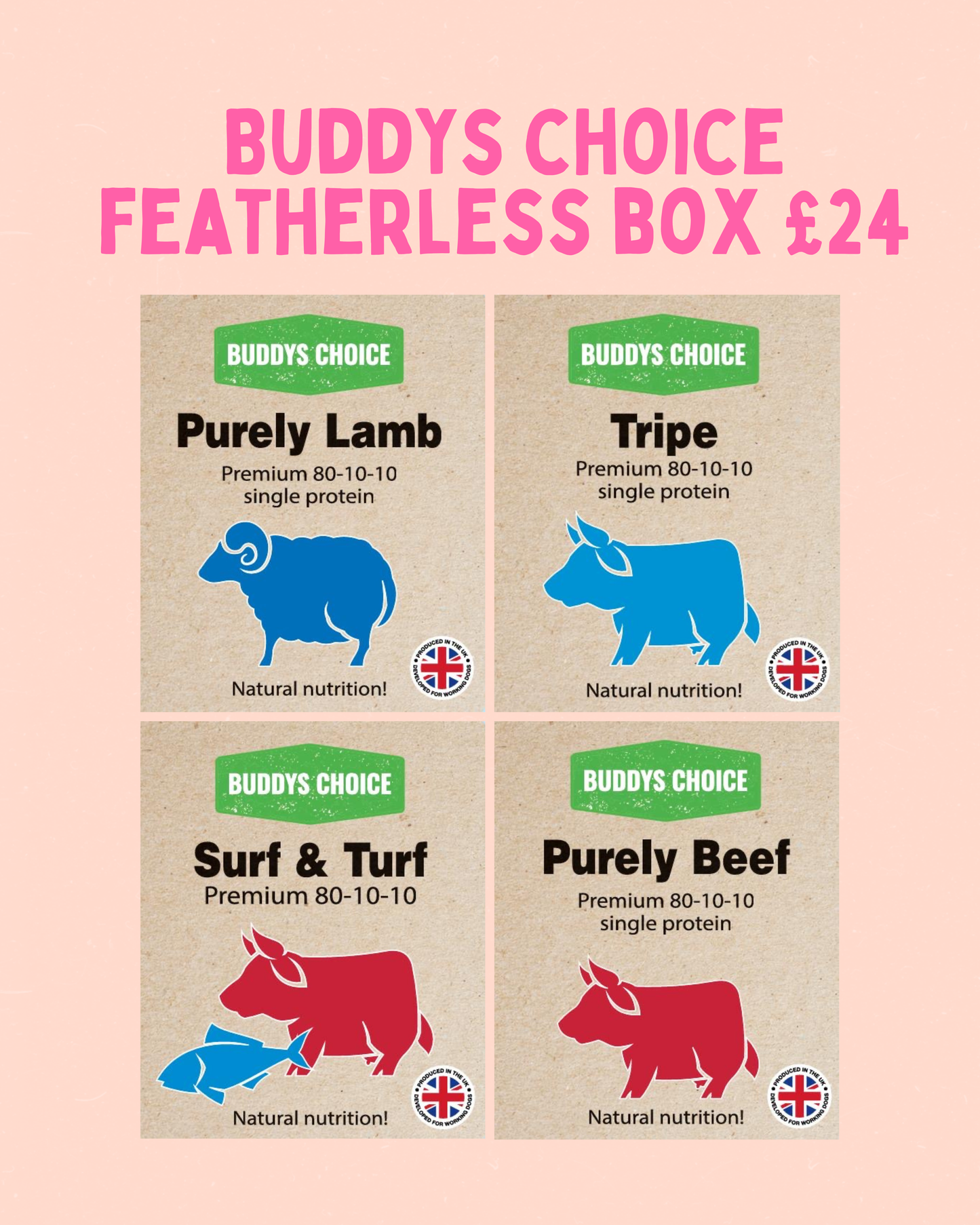 Buddy’s Choice Featherless Box £24