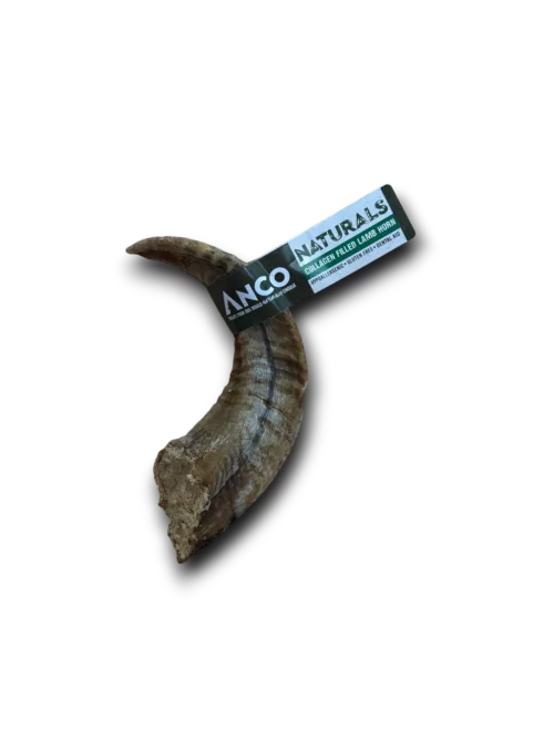 Collagen Filled Lamb Horn