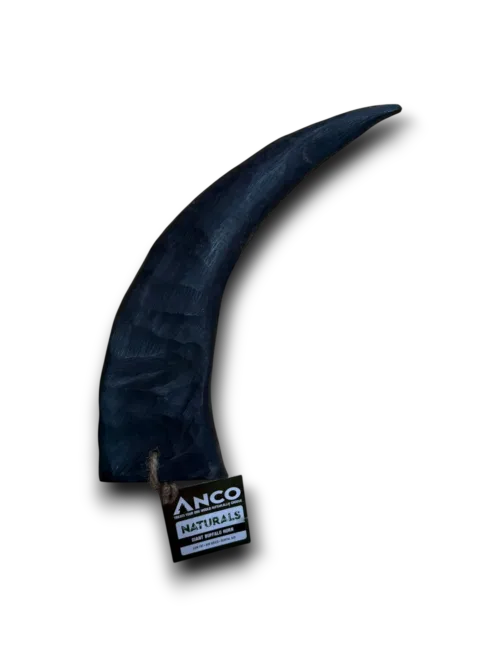 Buffalo Horn | Giant