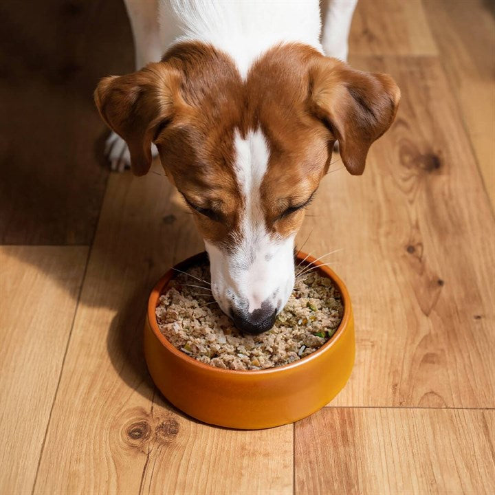 Gentle Kitchen Rustic Chicken Adult Fresh Dog Food