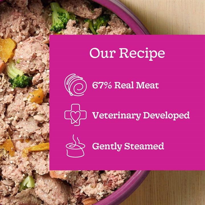Gentle Kitchen Hearty Beef Adult Fresh Dog Food