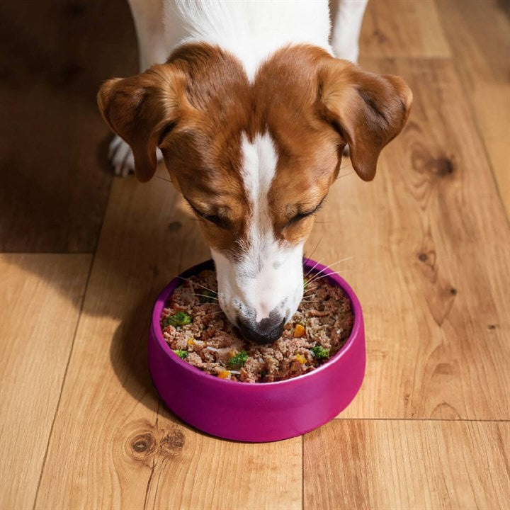 Gentle Kitchen Hearty Beef Adult Fresh Dog Food