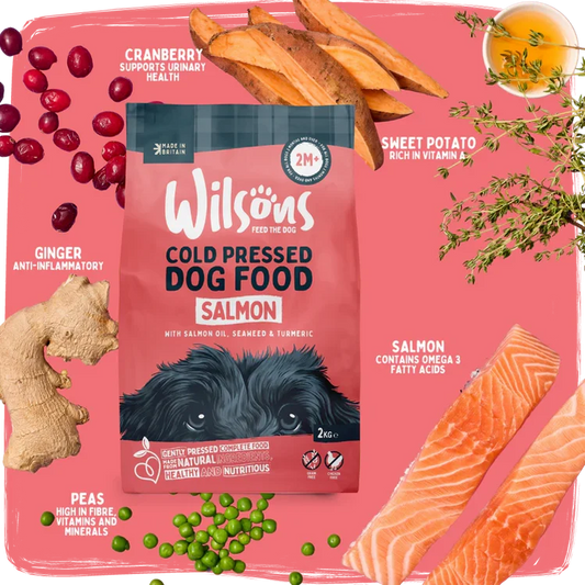 Wilsons Salmon Premium Cold Pressed 2kg