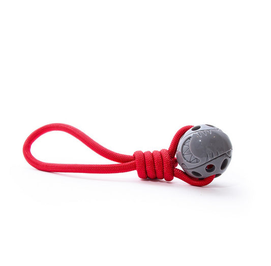 Stay Wild Shark with Rope