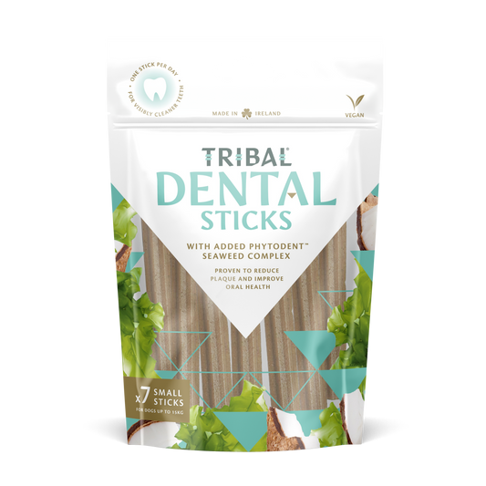 Tribal Dental Sticks - Large