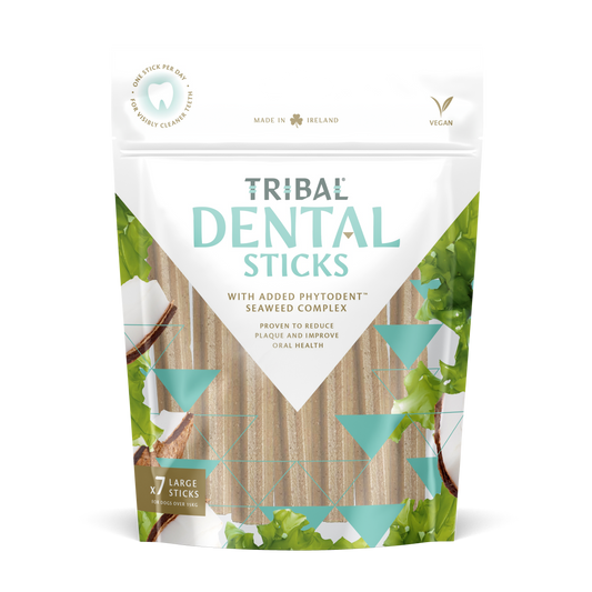 Tribal Dental Sticks - Small