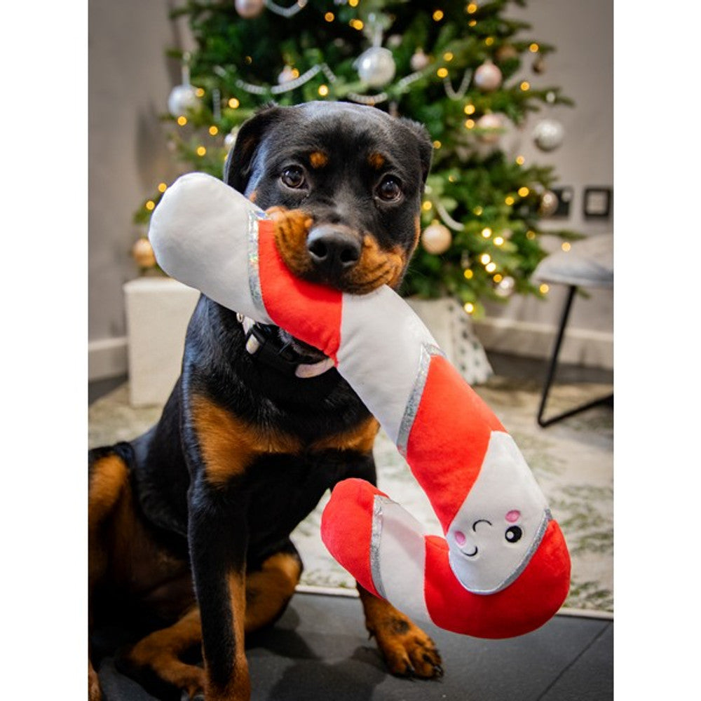 Rosewood Comet Candy Cane Christmas Dog Toy
