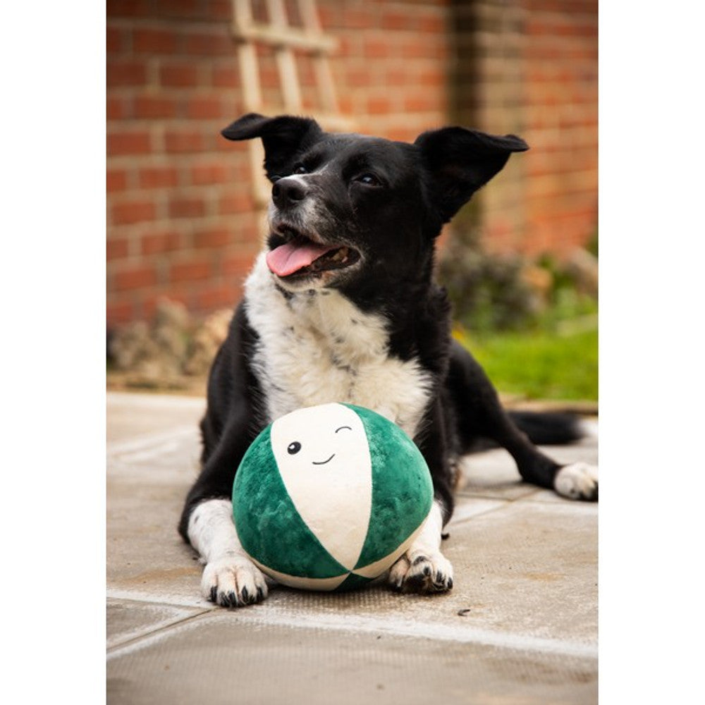 Rosewood Blitzen Bauble Christmas Dog Toy